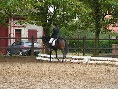 PO 2008 (2)